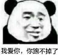 我爱你，你跑不掉了