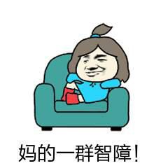 妈的一群智障！