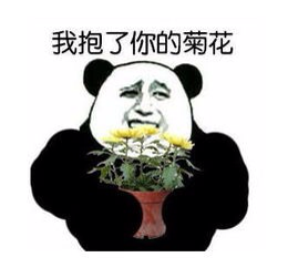 我抱了你的菊花