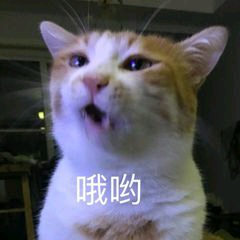 哦哟