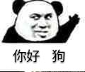 你好狗