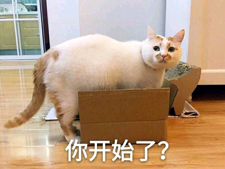 你开始了？