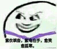 紫衣飒沓，紫电在手，愈笑愈孤寒。