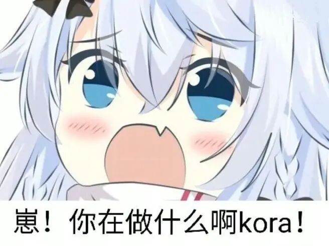 崽！你在做什么啊kora！