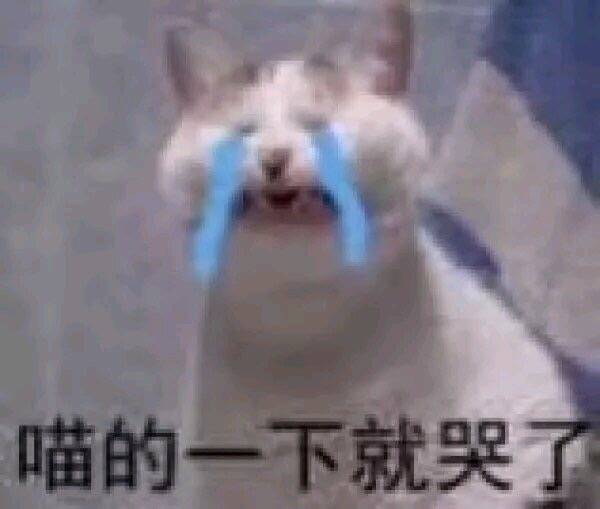 喵的一下就哭