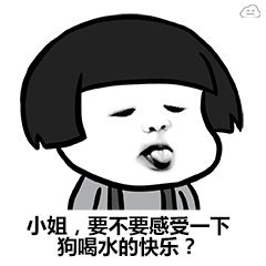 小姐，要不要感受一下狗喝水的快乐？