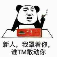 新人，我罩着你，谁TM敢动你