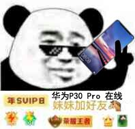 华为P30 Pro在线