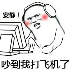 安静！吵到我打飞机了