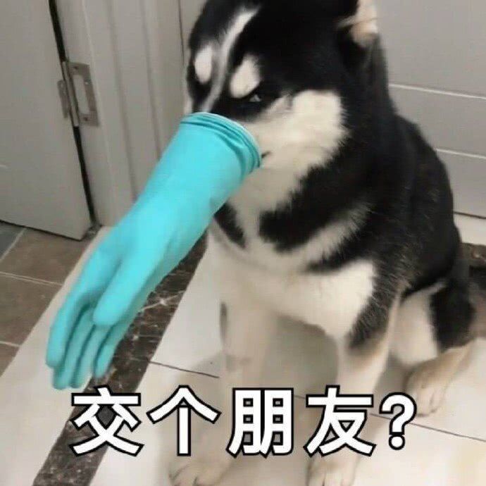 交个朋友？