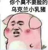 你个臭不要险的乌克兰小乳猪