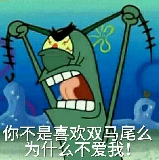 你不是喜欢双马尾么？为什么不爱我！