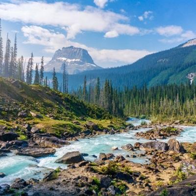 大自然风景微信头像 森林小溪山间流水图片-唯美头像