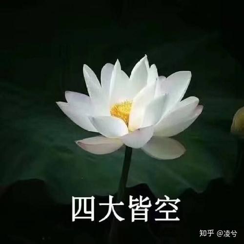 有什么适合爸妈用的好看的微信头像? - 知乎