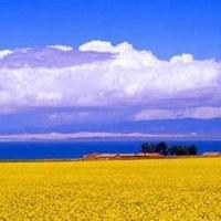 山水风景图片适合做微信头像吗【点击鼠标右键下载】