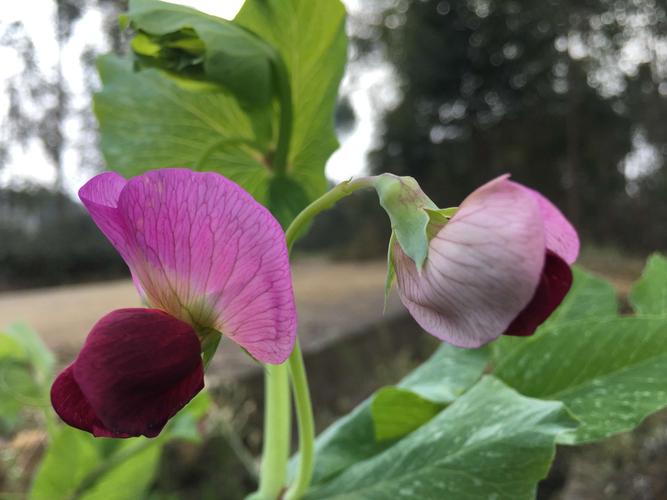 初春阳光明媚,坐上动车踏青去……🌷🍃 - 美篇