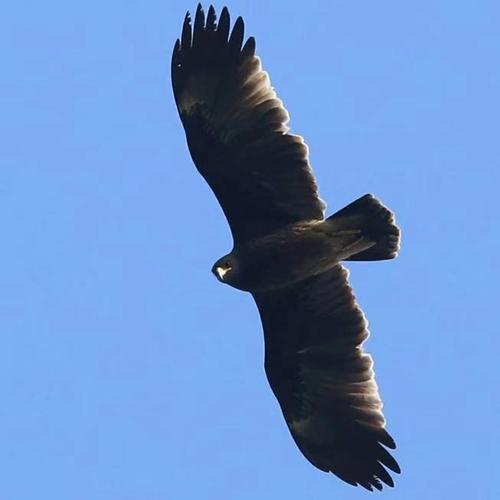 映照大自然生灵草木的微信头像! - 美篇