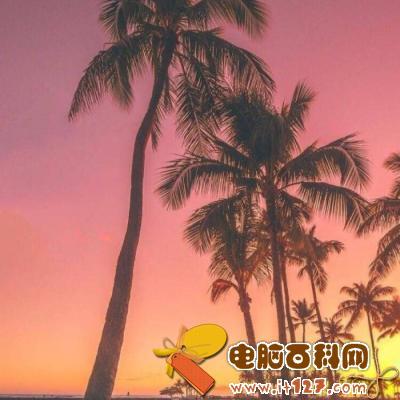 2018微信风景头像图片大全 简单好看清新自然_电脑百科网