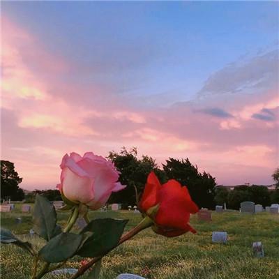 能带来好运的微信头像图片女 带发财好运的微信头像图片 - 米粒蓝钻网