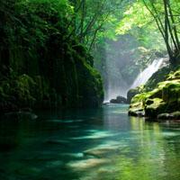 微信头像风景,绿色森林山涧风光图片大全-唯美头像