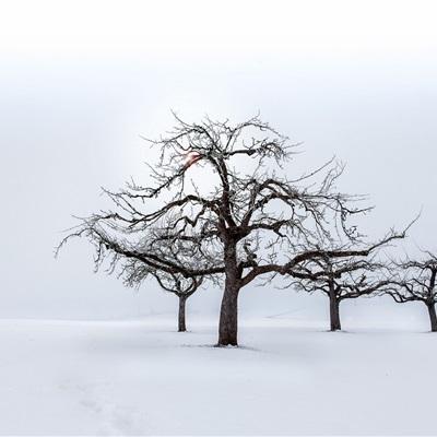 冬天风景微信头像,大自然微信冬天冰雪风景头像图片-唯美头像