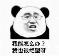 我能怎么办？我也很绝望啊