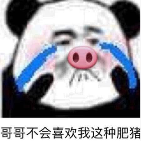 哥哥不会喜欢我这种肥猪