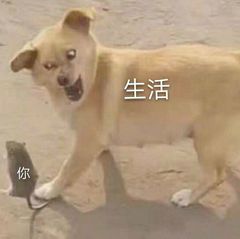 你和生活