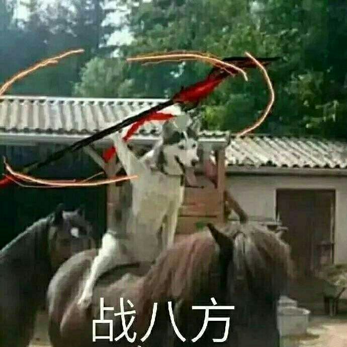 战八方