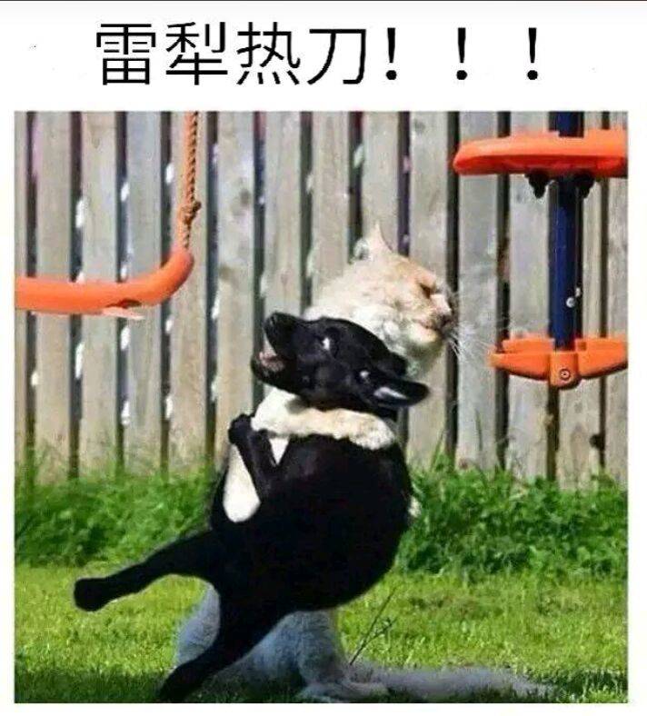 雷犁热刀！！！