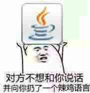 对方不想和你说话，并向你扔了一个辣鸡语言（Java）