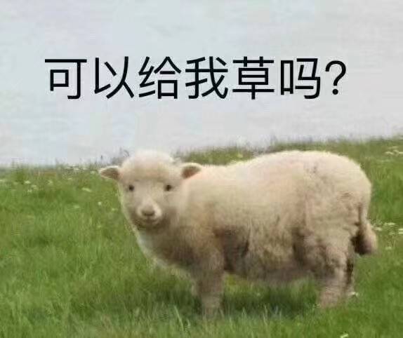 可以给我草吗？