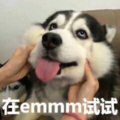 在emmmmmm试试