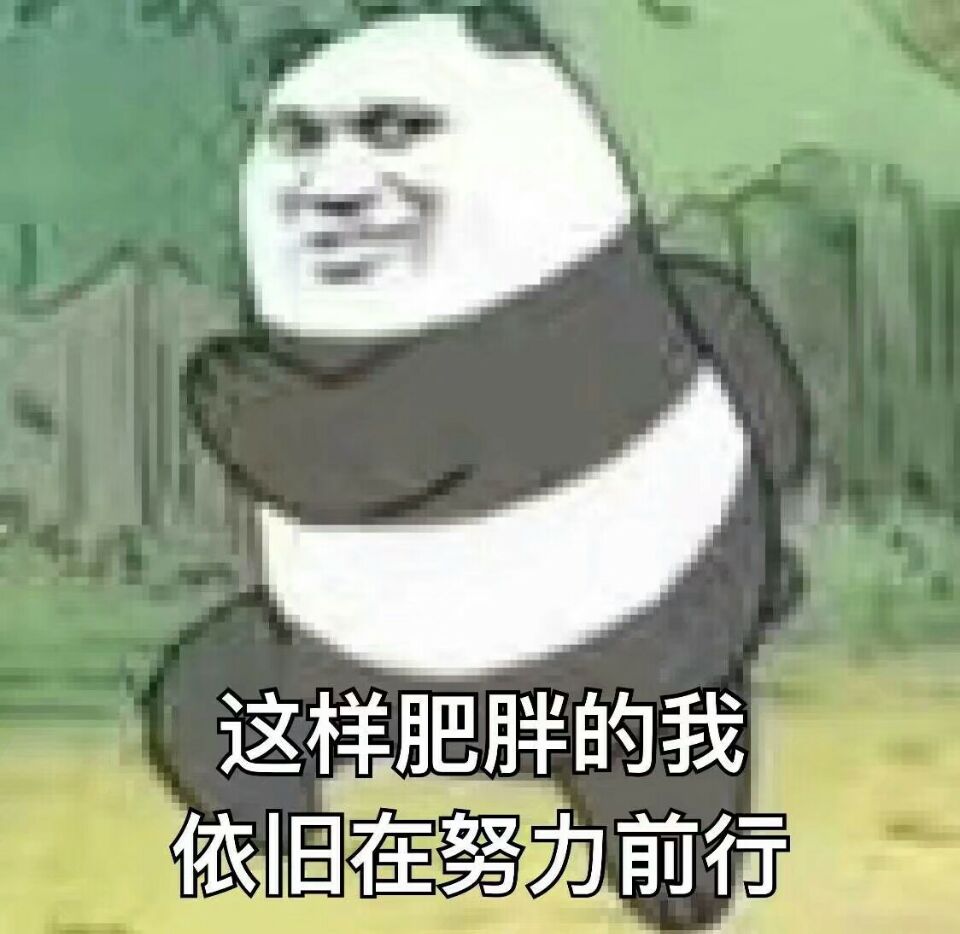 这样肥胖的我，依在努力前行