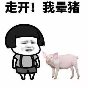 走开！我晕猪