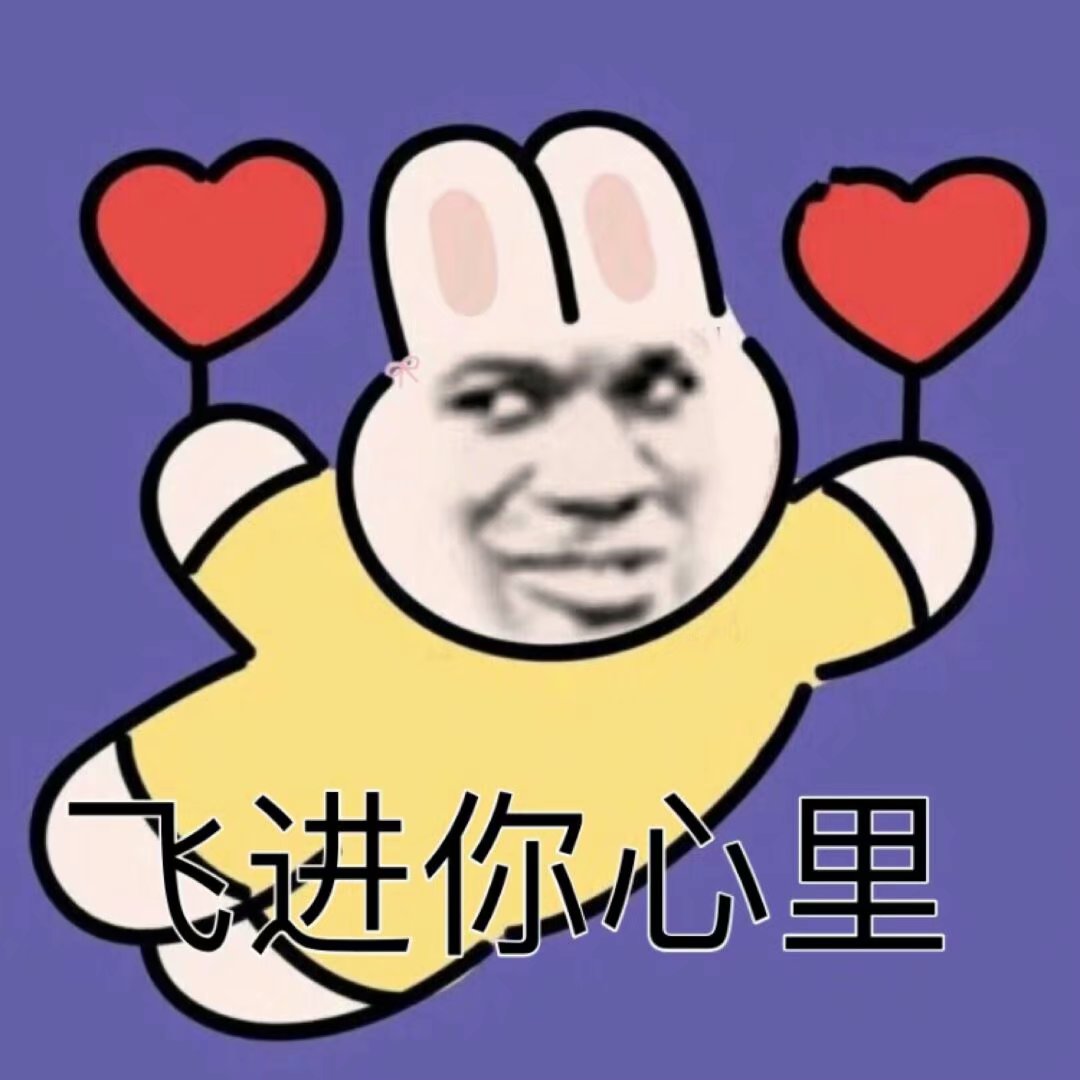 飞进你心里