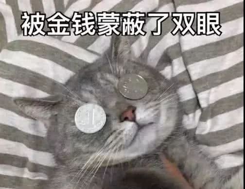 被釜钱蒙蔽了双眼