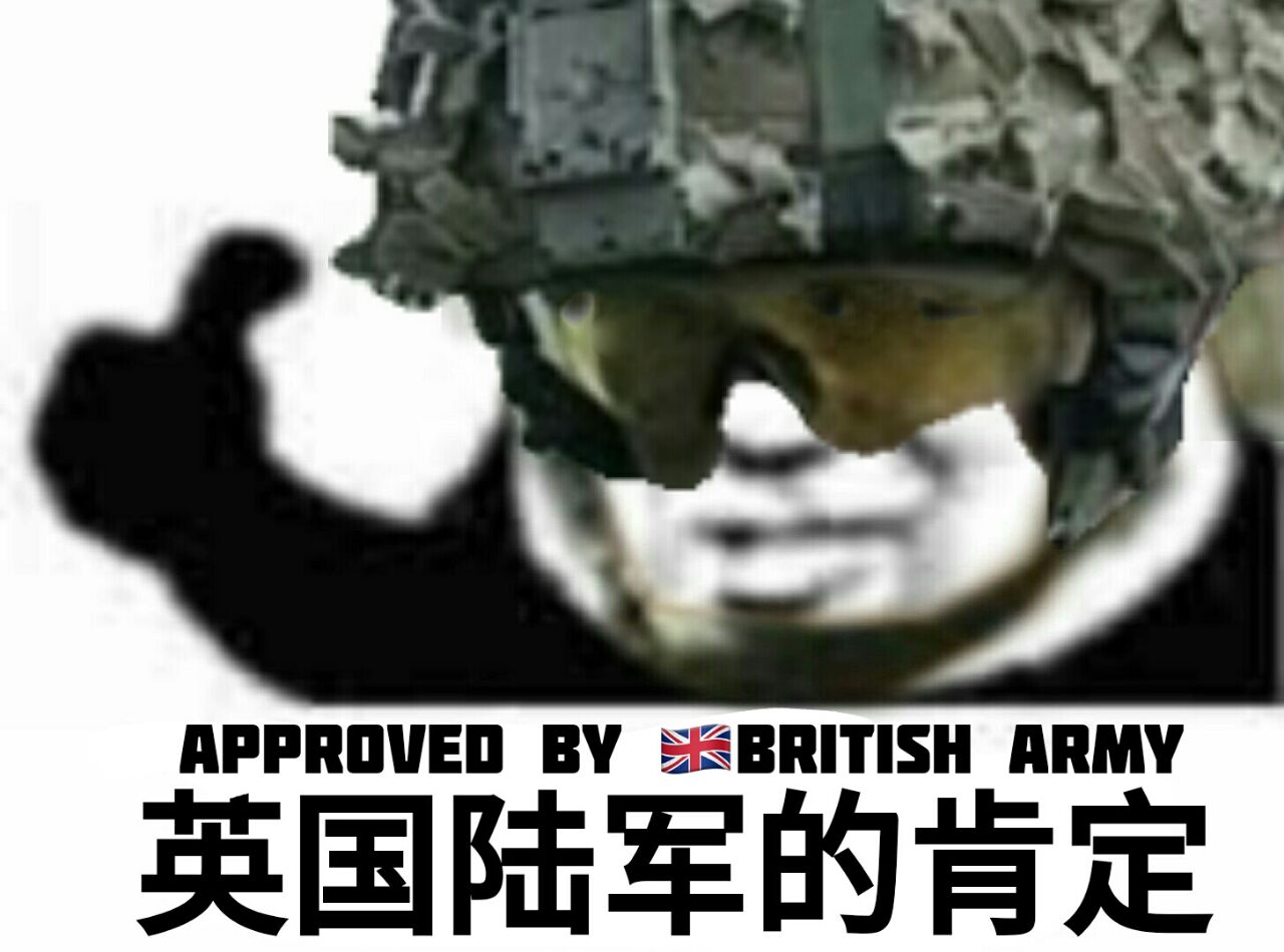 英国陆军的肯定