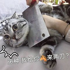 崽种，我给你来两刀？