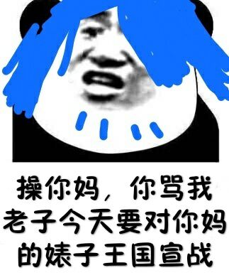 操你妈，你骂我老子今天要对你妈的婊子王国宣战