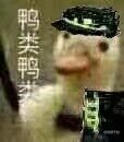 鸭类鸭类