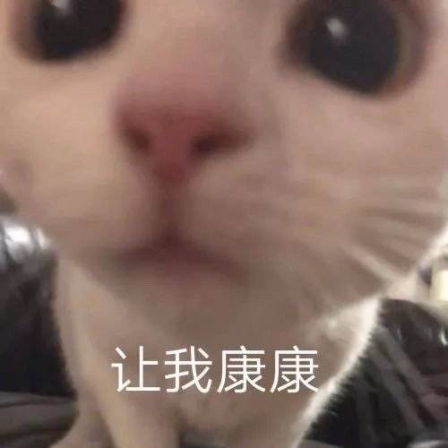 让我康康