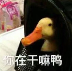 你在干嘛鸭
