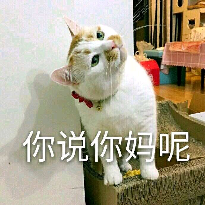 你说你妈呢