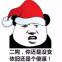 二狗，你还是没变依旧还是个傻逼！