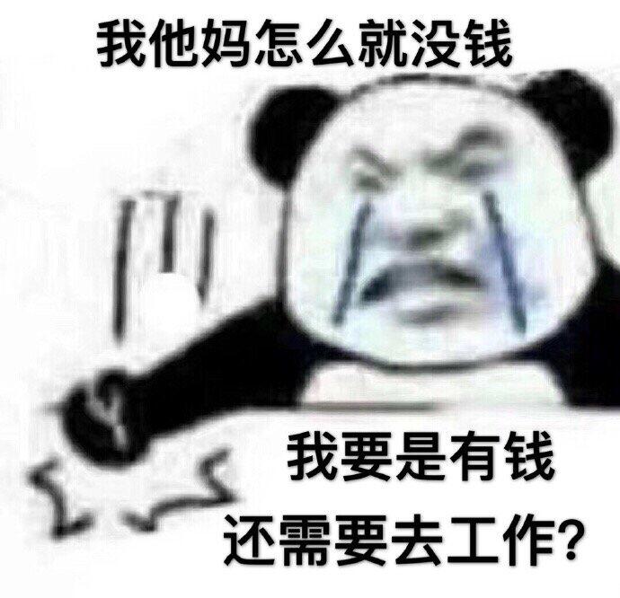 我他妈怎么就没钱，我要是有钱还需要去工作？