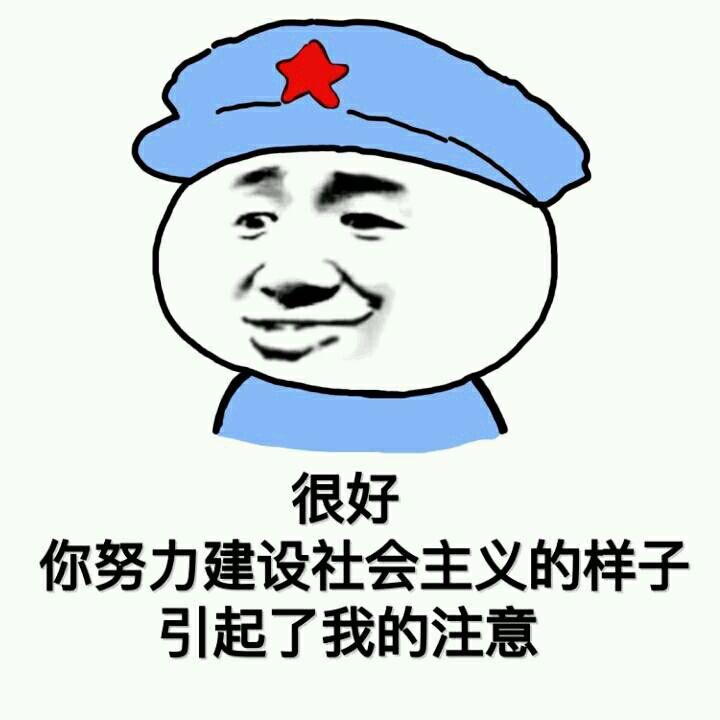 很好，你努力建设社会主义的样子，引起了我的注意