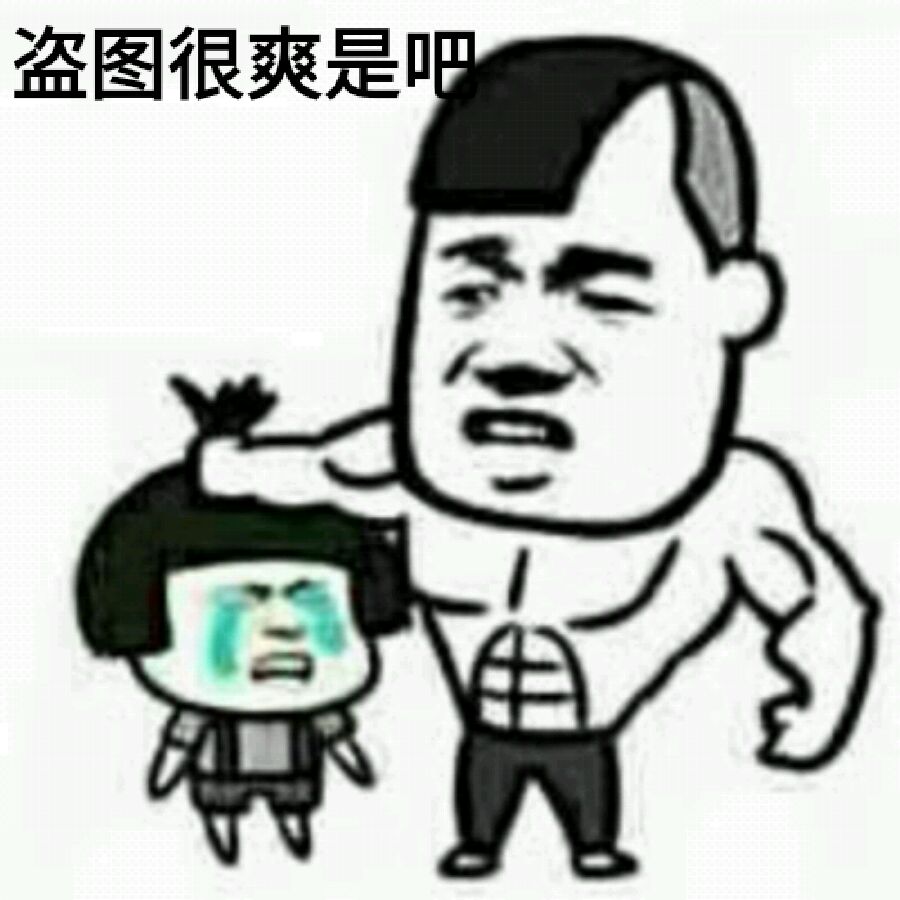 盗图很爽是吧