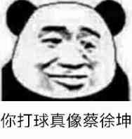 你打球真像蔡徐坤