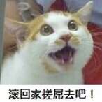滚回家搓屌去吧！